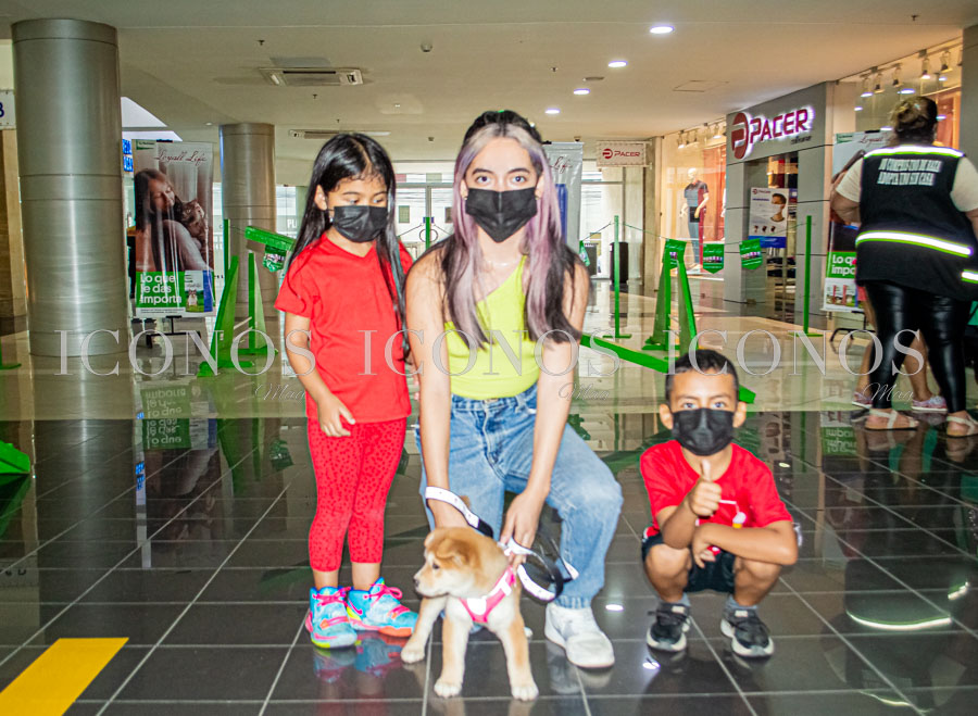 Puppy Week by City Mall San Pedro Sula