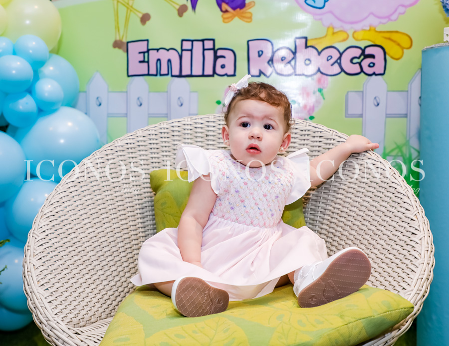 Primer cumpleaños Emilia Rebeca Gabrie
