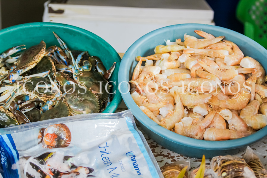 Actividades por hacer Puerto Cortés