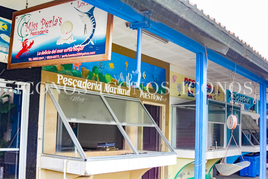 Actividades por hacer Puerto Cortés