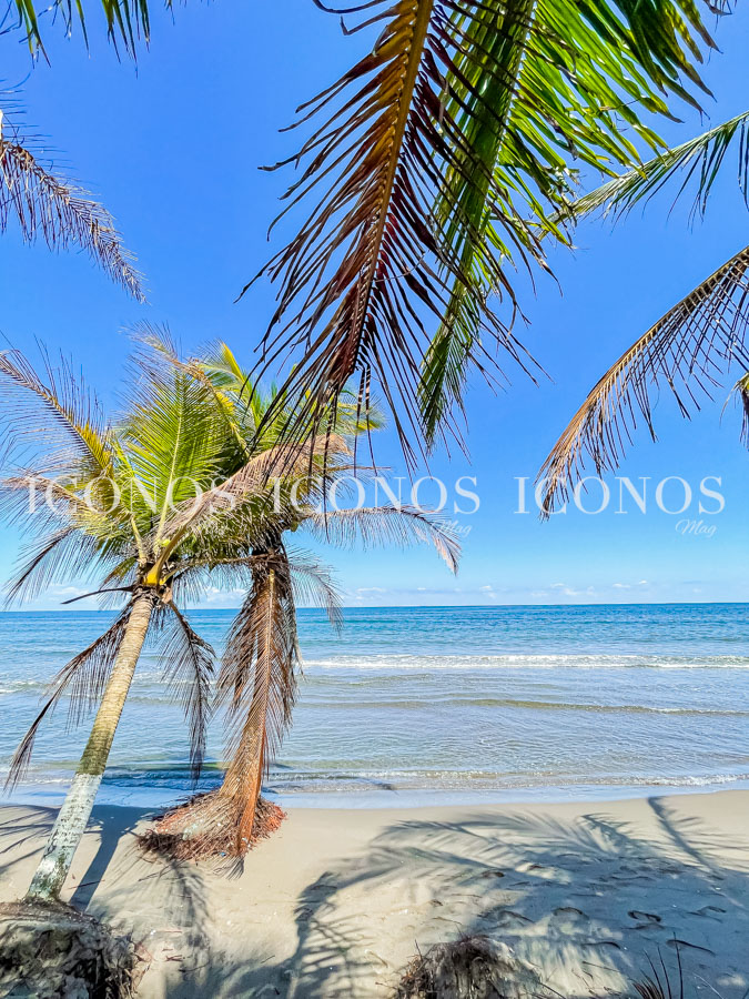 Travesía Puerto Cortés Honduras