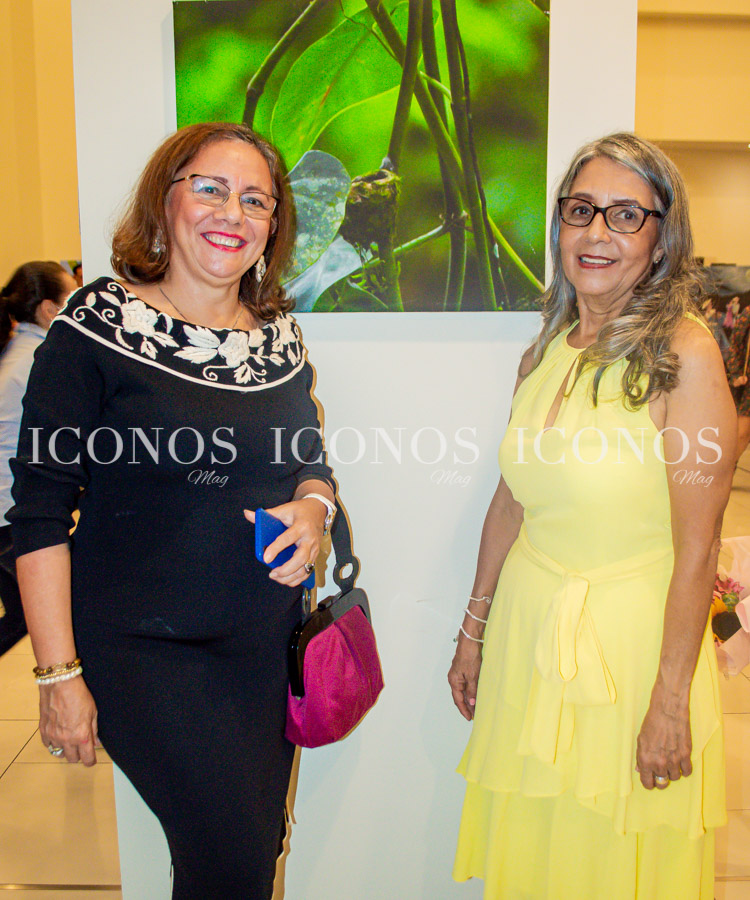 El Merendón proyecto expositivo 2022