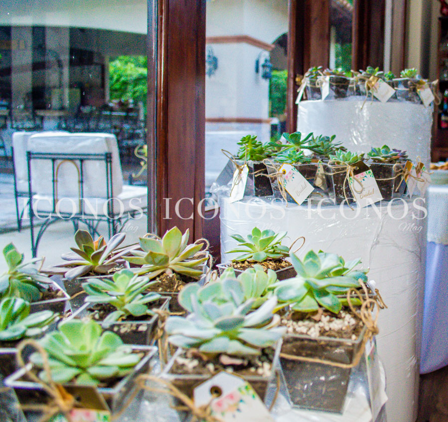 Pahola Mareth García Martínez