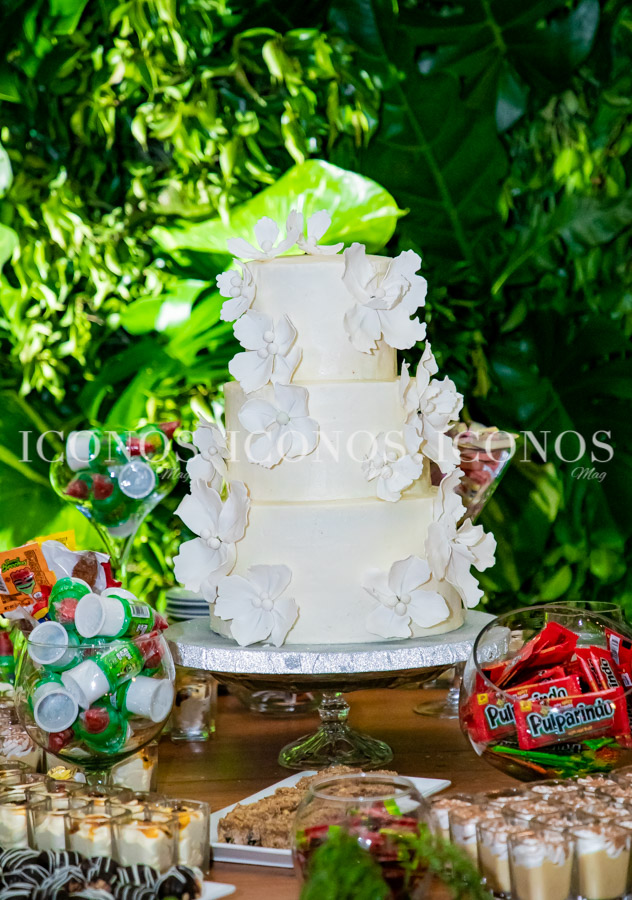 La boda de Stephanie Ewens y Luis Diego Ortez