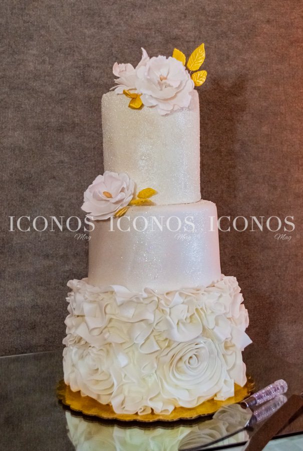 Boda Lourdes Moreno y Gustavo Pavón