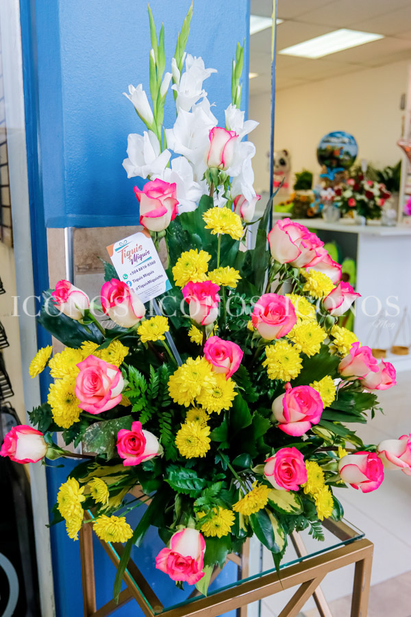 Inauguración Tiquis Mikis Tegucigalpa