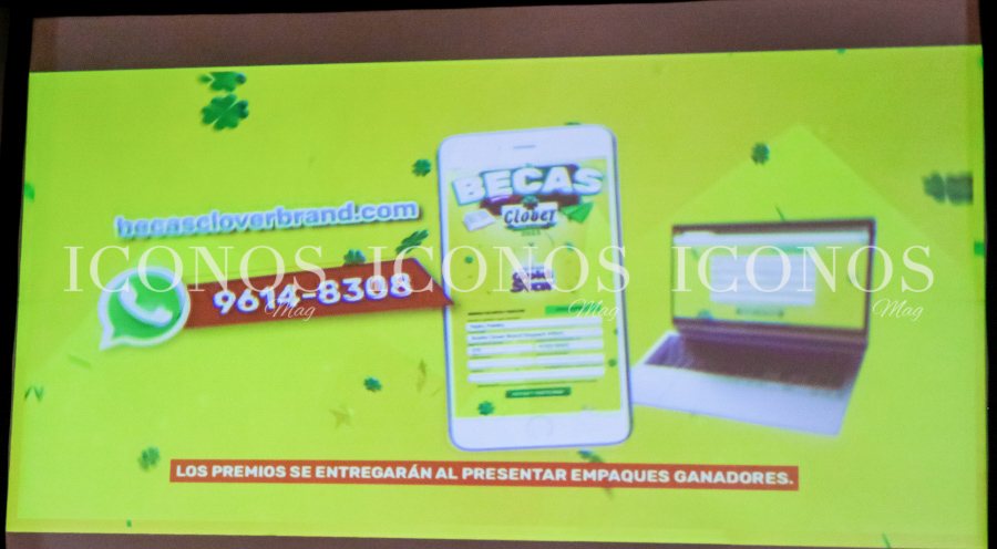 Becas Clover Brand 2023 y Gold Star