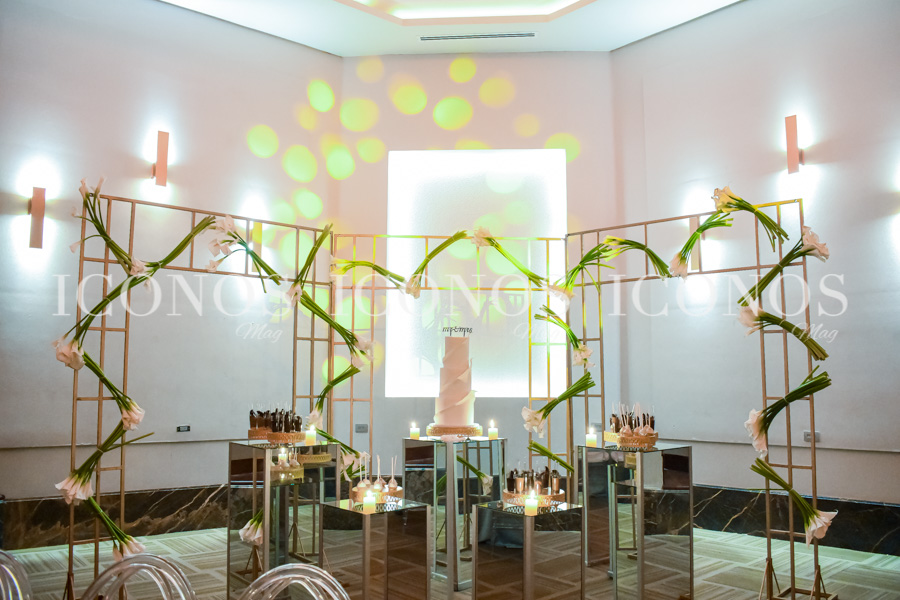 Boda Tamy Díaz y Marco Dardón