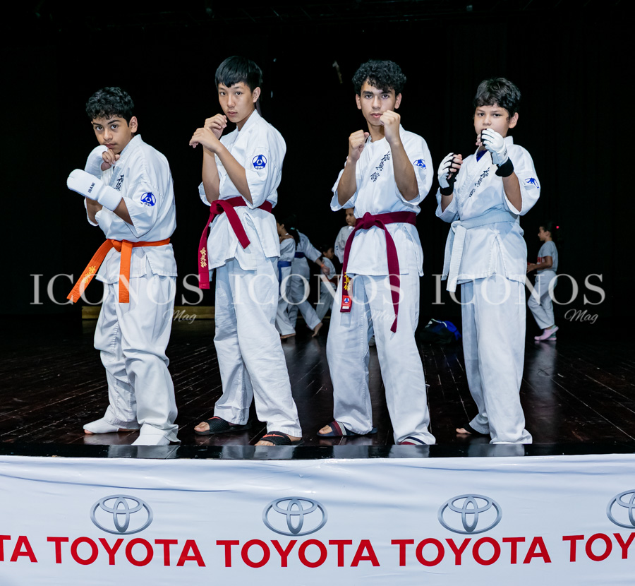 Torneo Copa Toyota Kumite y Kata 2023