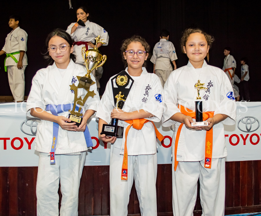 Torneo Copa Toyota Kumite y Kata 2023