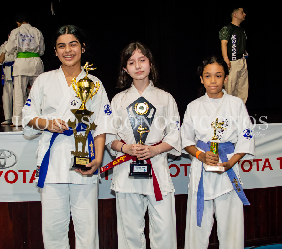 Torneo Copa Toyota Kumite y Kata 2023