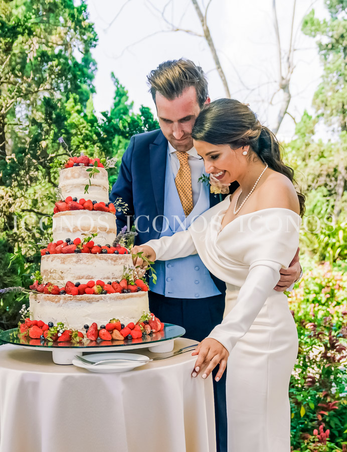 Boda Laura Vadillo Urrutia y Miles Michael Dennert