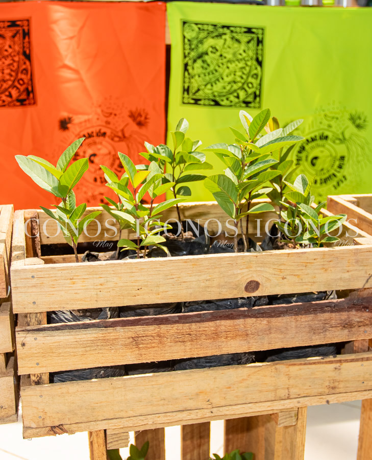 Campaña Eco Huella by Mall Multiplaza Tegucigalpa