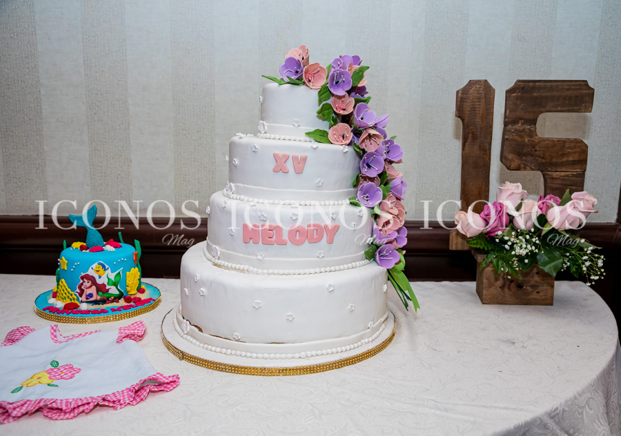 Quince años Melody Medina