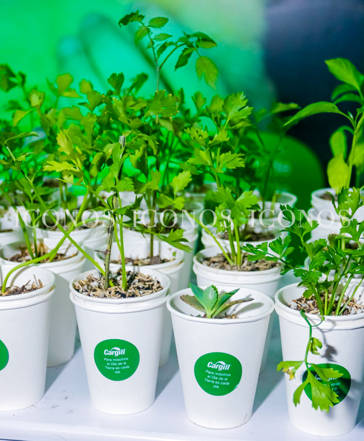 Semana de la Sostenibilidad 2023 by Cargill Honduras