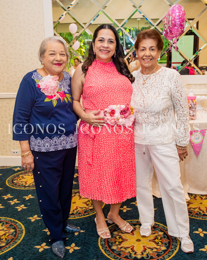 Evelyn Cecilia Vilorio de Iglesias