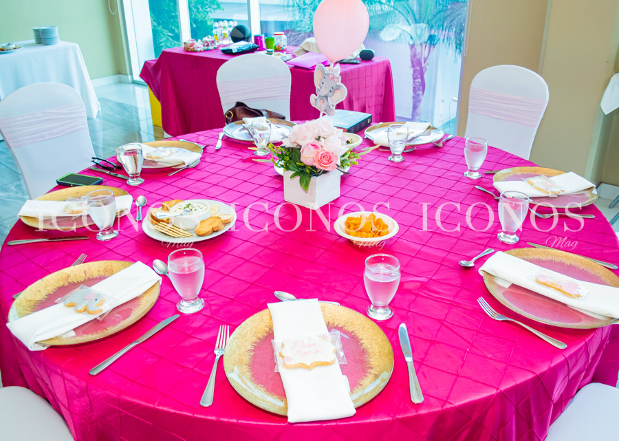 Baby shower María Fernanda Gauggel de Vivas