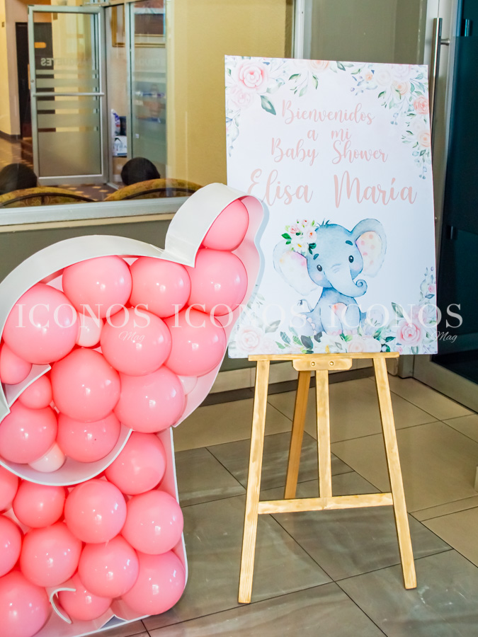 Baby shower María Fernanda Gauggel de Vivas