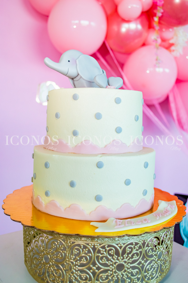 Baby shower María Fernanda Gauggel de Vivas