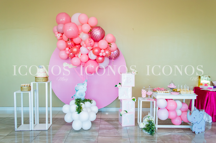 Baby shower María Fernanda Gauggel de Vivas