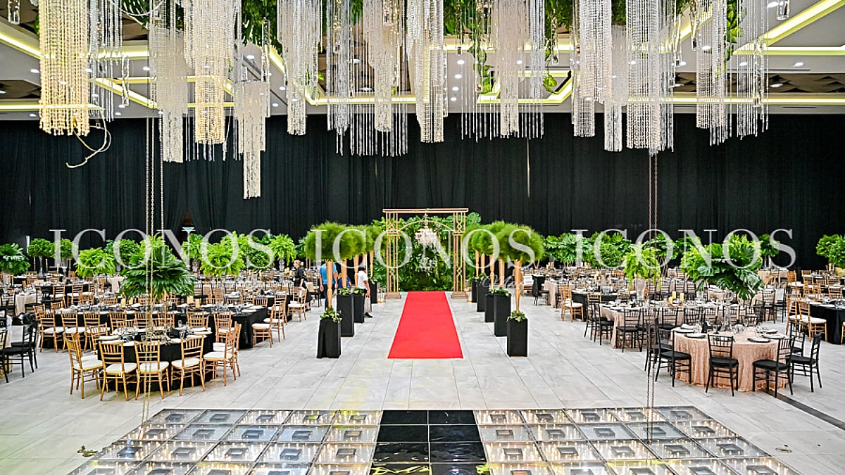 especial graduaciones 2023