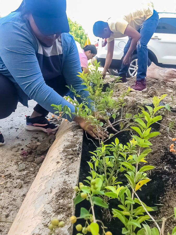 Actividades en pro del ambiente by UCENM Honduras 2-2