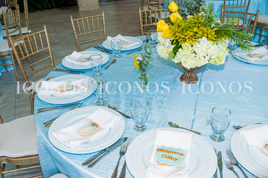 Baby shower Paola Flores Dávila