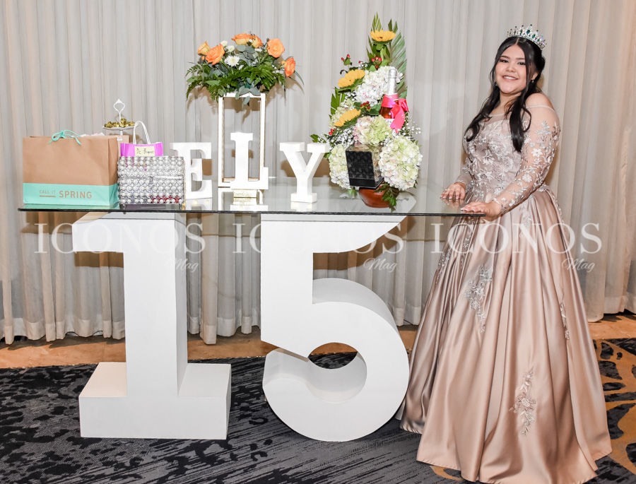 Quince años Elissa Ninoska Laínez Zepeda