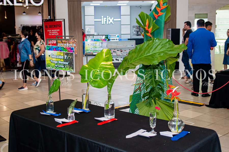 Exposición de jardinería 2023 Tesoros de nuestra casa común