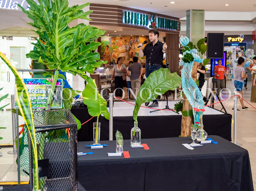 Exposición de jardinería 2023 Tesoros de nuestra casa común