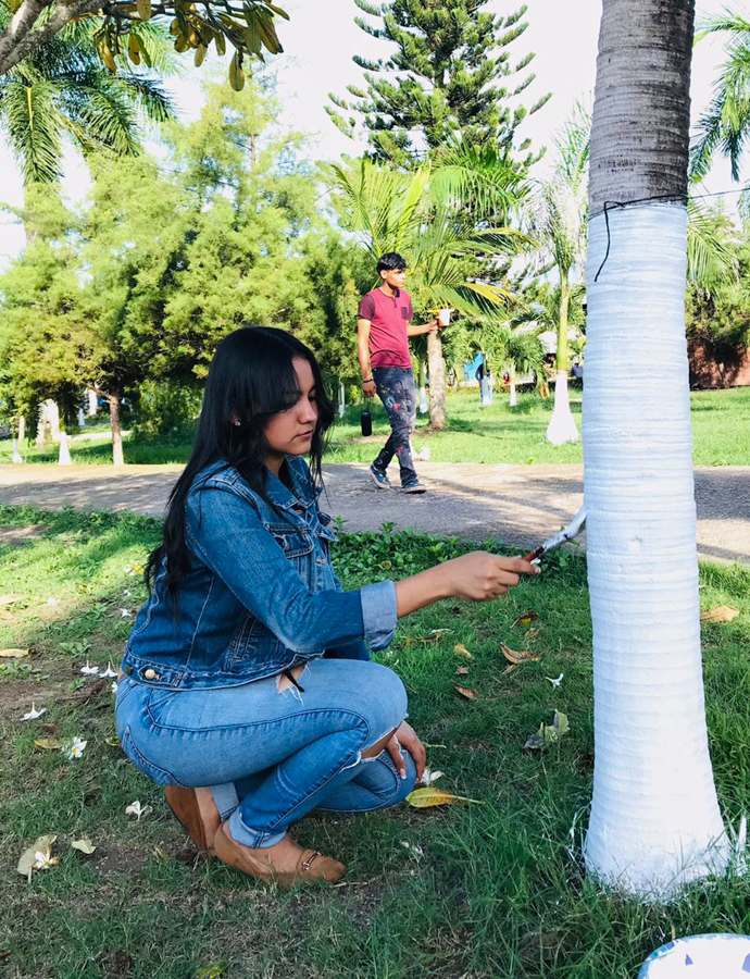 Proyecto ornato by UCENM Honduras