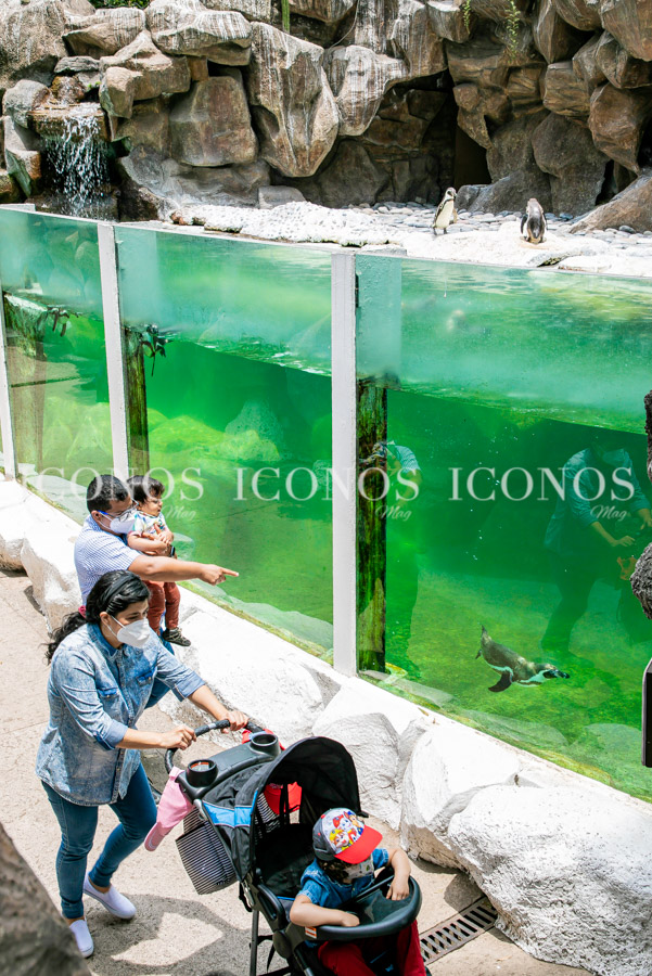 Zoológico La Aurora Guatemala