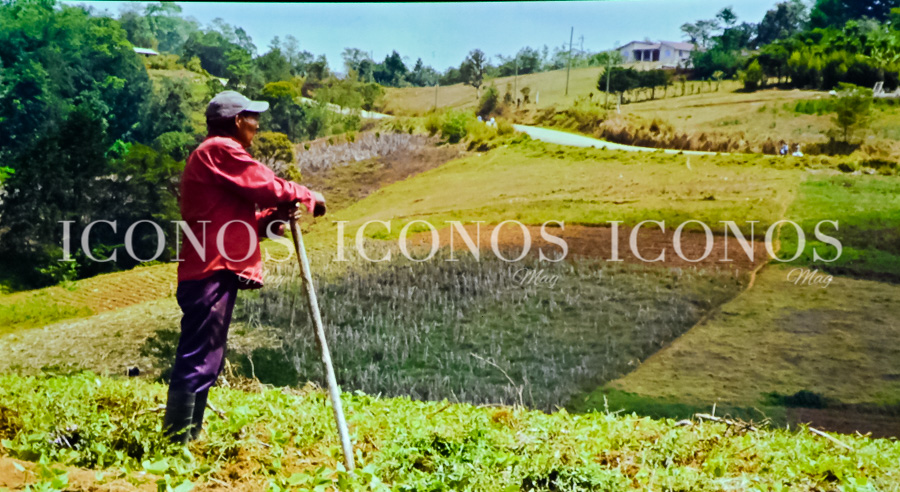 Apinán nosotros los lencas