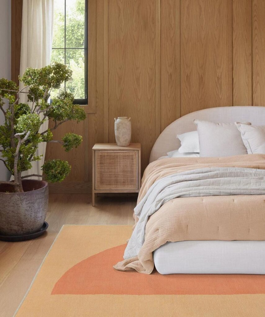 Color of the year 2024 by Pantone (2)