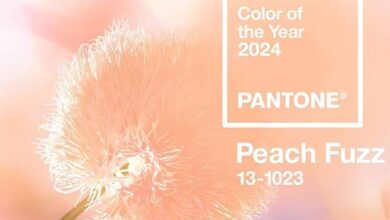 PORTADA-color-of-the-year-by-Pantone-min