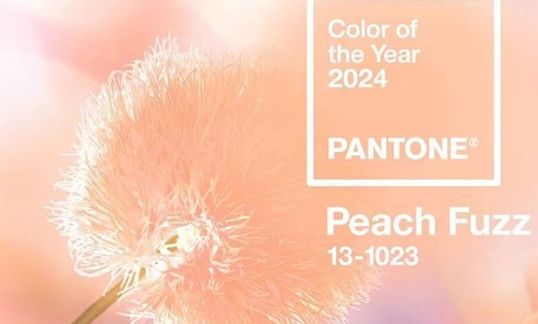 PORTADA-color-of-the-year-by-Pantone-min