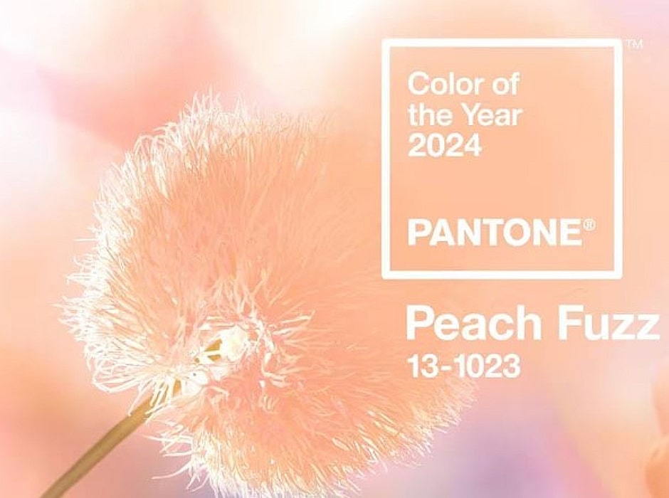 PORTADA-color-of-the-year-by-Pantone-min