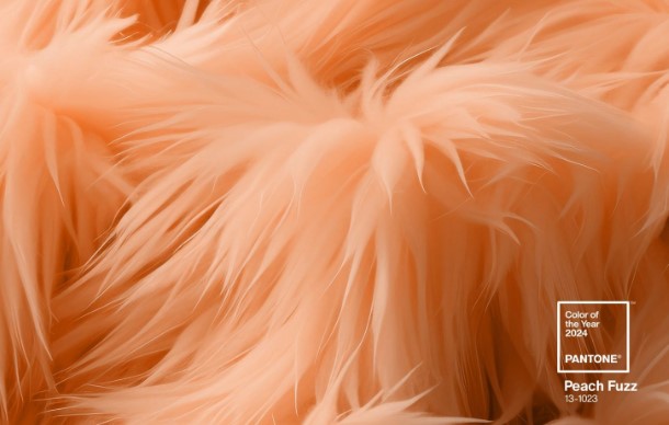 color of the year 2024 by Pantone