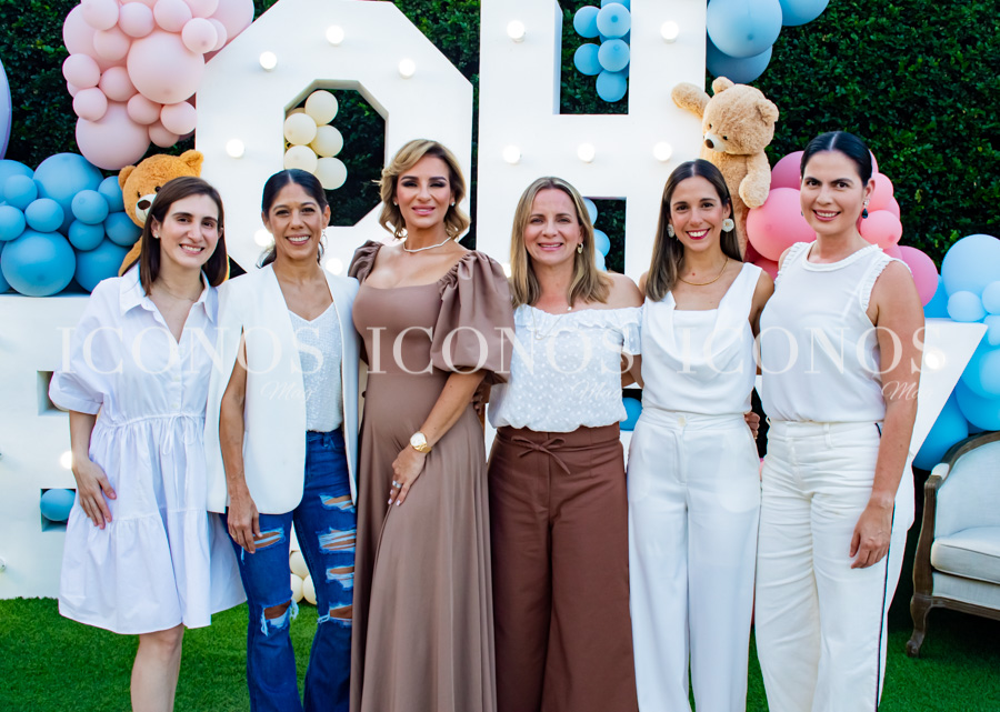 Gender Reveal Karla Matamoros Martínez