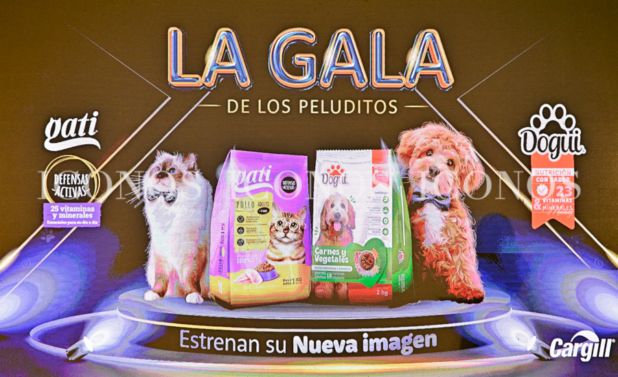 Nueva imagen 2024 by Dogui & Gati parte 2 (29)