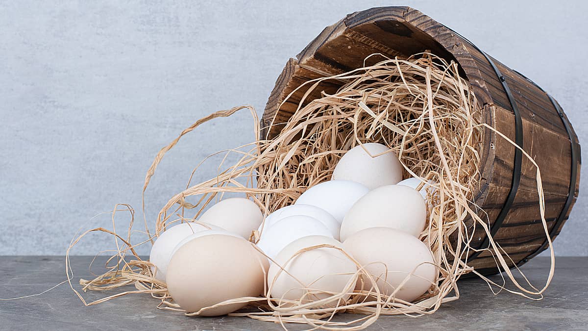 Portada Cómo limpiar y desinfectar huevos