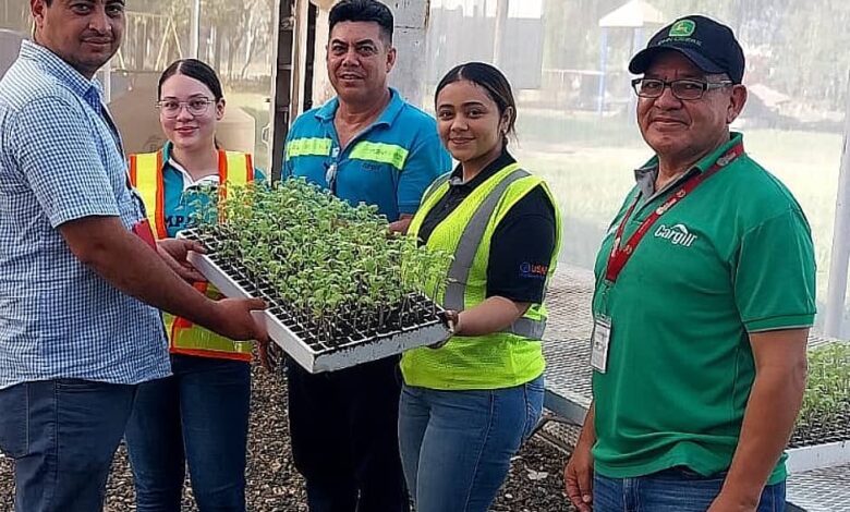 Portada Sostenibilidad ambiental 2024 Cargill Honduras (1)