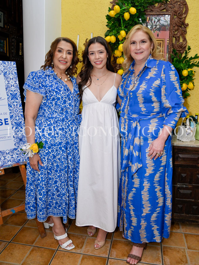 bridal shower denisse medina arias