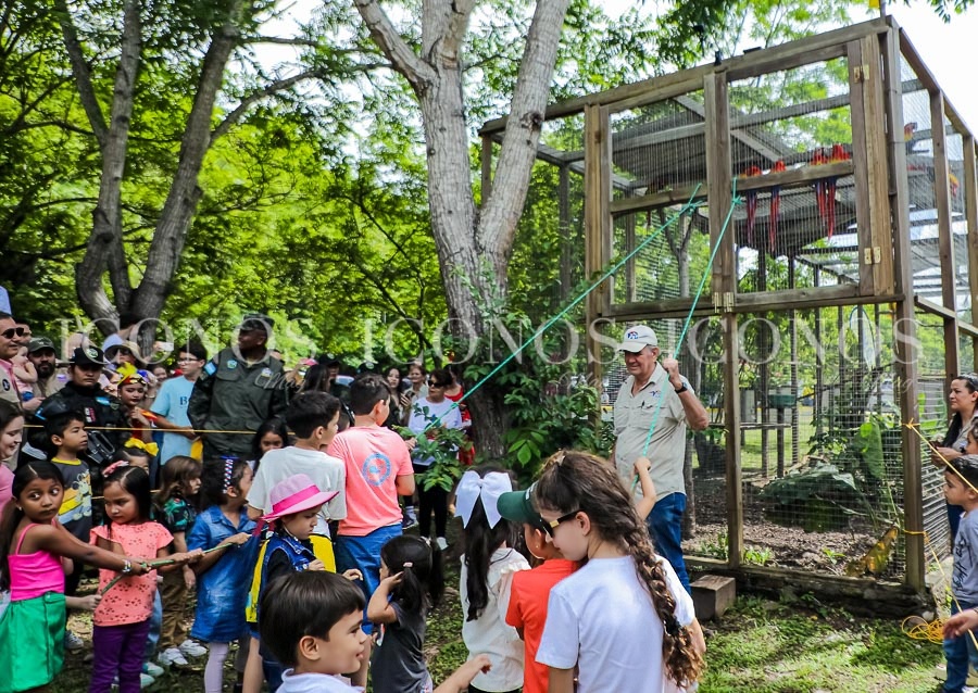 liberacion guacamayas 2024 by banpais honduras y pro alas 2