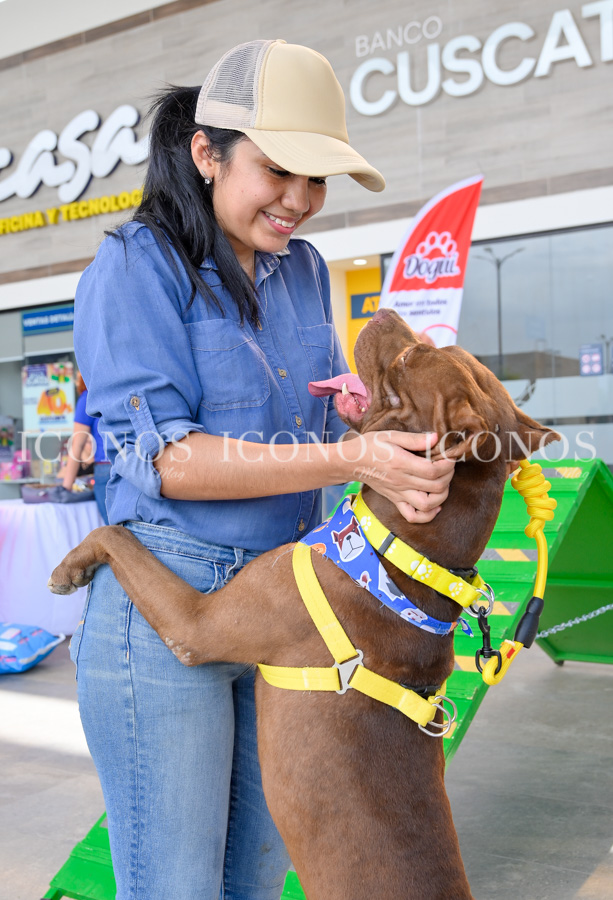 peluditos fest 2024 by megaplaza palenque san pedro sula