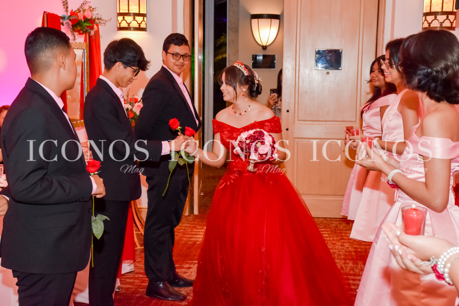 Dana Montserrat Vides Mejia