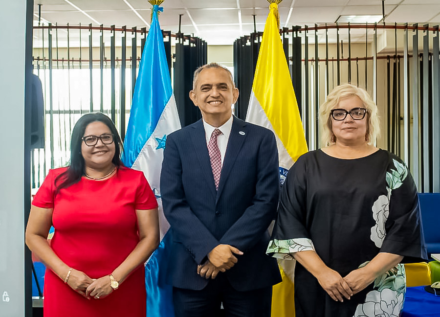 sesion consejo tecnico consultivo 2024 universidad de san pedro sula usap