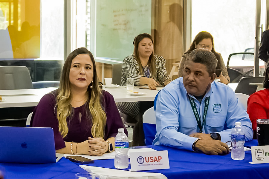 sesion consejo tecnico consultivo 2024 universidad de san pedro sula usap