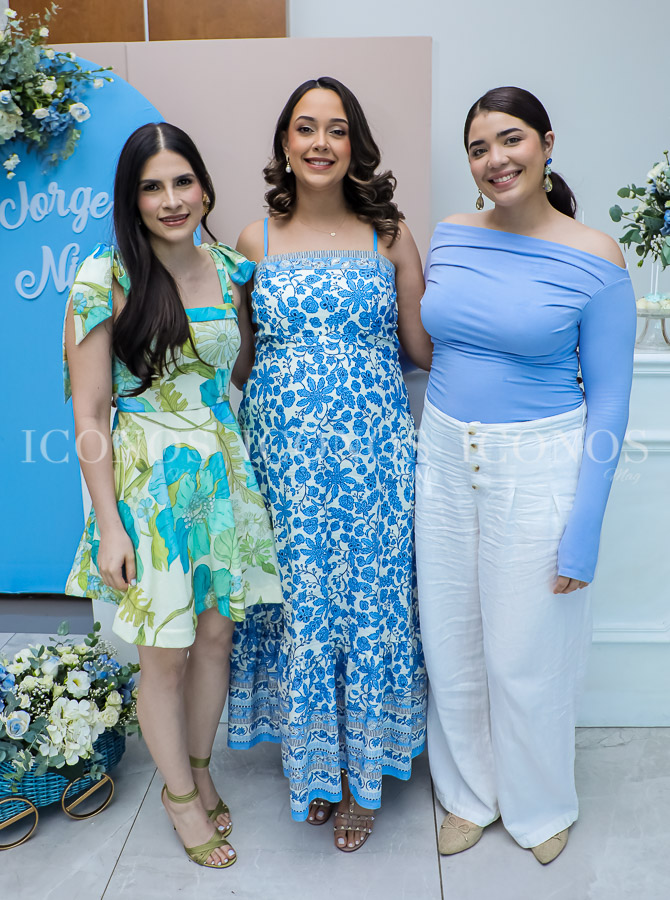 baby shower ariana torres lopez de quin