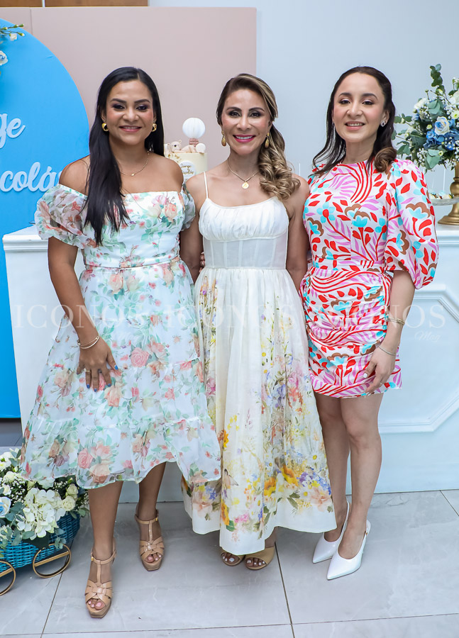baby shower ariana torres lopez de quin